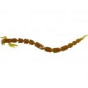Westin bloodteez worm 5,5cm 0,5g kolor: motoroil gold gumowa przynęta spinningowa