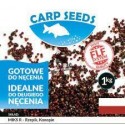 Carp seeds rzepik ziarno surowe 1kg