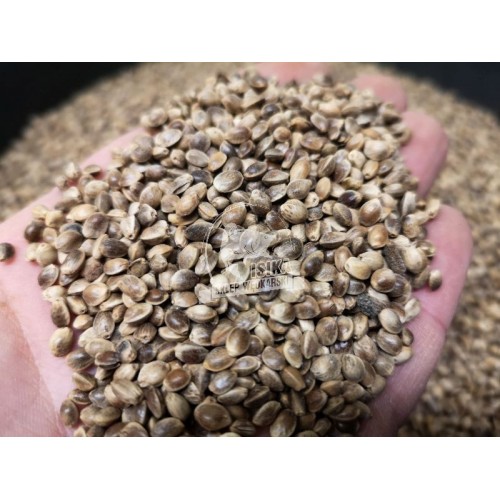 Carp seeds konopie ziarno surowe 1kg
