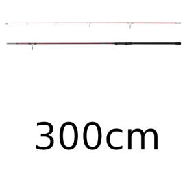 10ft (300cm)